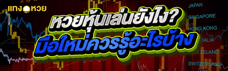 หวยหุ้นเล่นยังไง? มือใหม่ควรรู